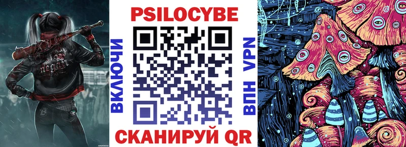 Галлюциногенные грибы Psilocybe  Новочеркасск 
