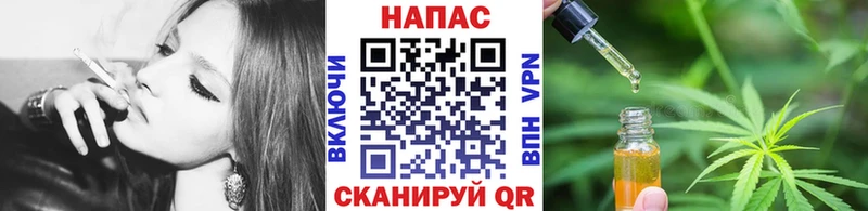 Каннабис сатива  Новочеркасск 